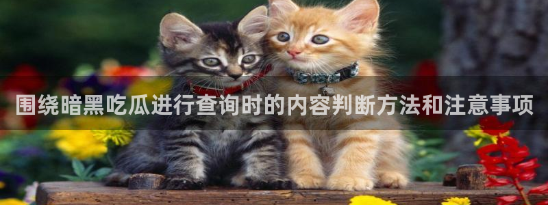 51吃瓜资讯网站