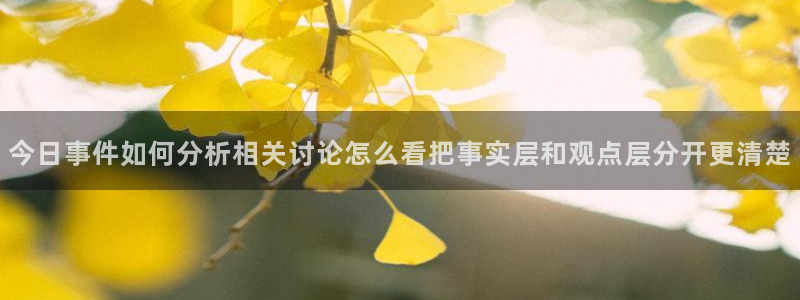 今日网络热点