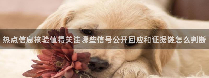 51吃瓜爆料