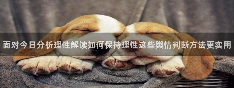 吃瓜资讯