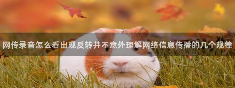 吃瓜事件大全